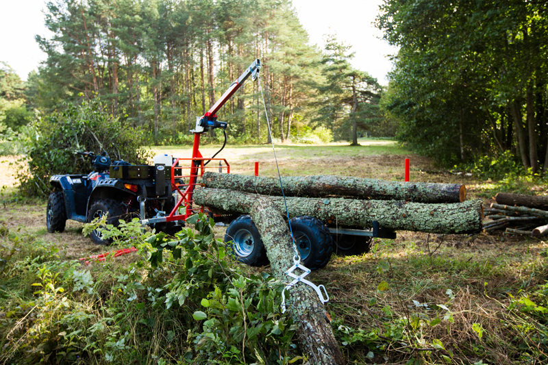 Timber trailerIB 1000