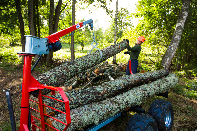 Timber trailerIB 1000 - Image 2