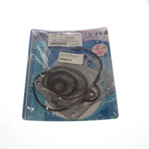 Yläpään tiivistesarja Polaris 600 2000-2006