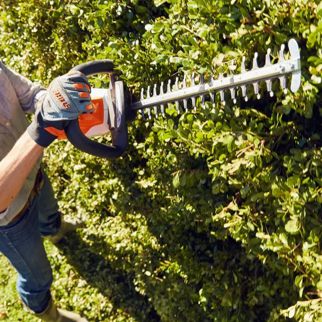 STIHL HSA 56 akkupensasleikkuri + akku ja laturi - Image 3