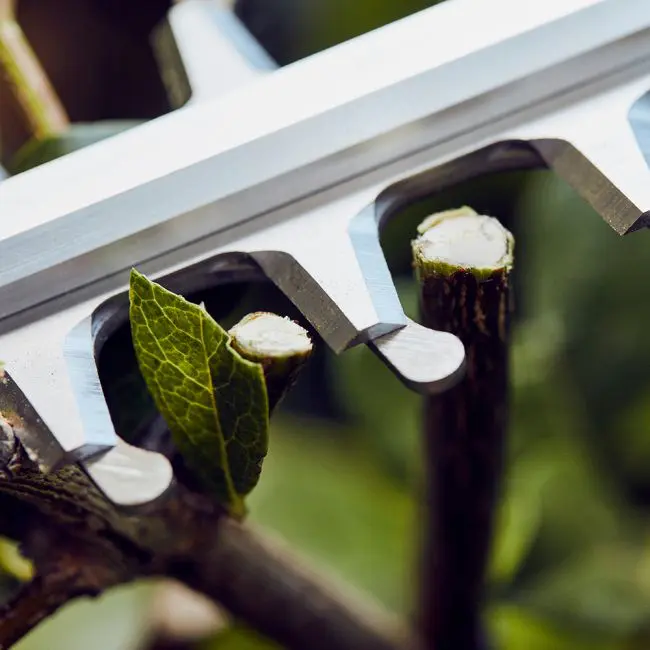 STIHL HSA 56 akkupensasleikkuri + akku ja laturi - Image 4