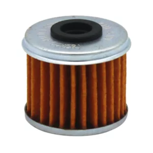 Polaris 2521231 – FILTER WITH O-RING ASSEMBLY