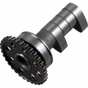 Hot Cams Camshaft 09251199