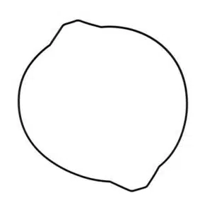 ProX Clutch Cover Gasket YZ250 ’99-20 400-19-G2399