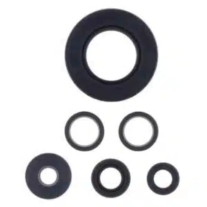 ATHENA Stefasarja motor Z 750 / ABS 421-250-400043