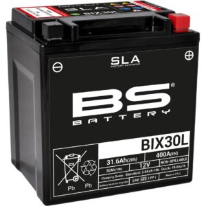 BS Battery BIX30L (FA) SLA - Sealed & Activated 140-300631