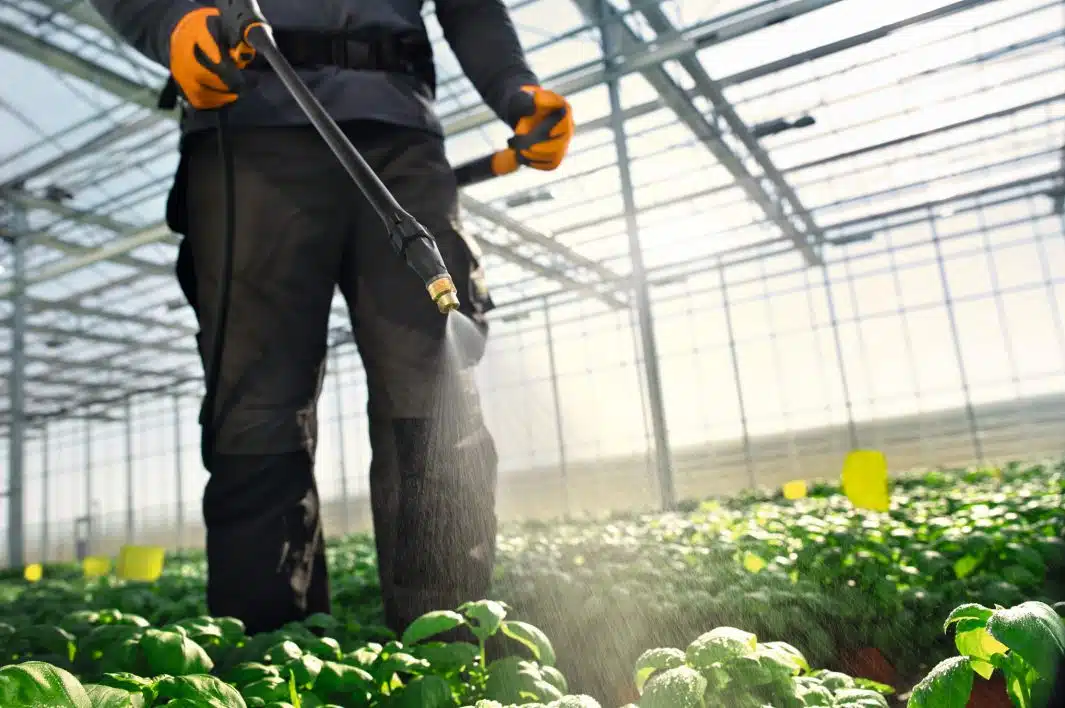 Stihl SG 71 reppuruisku - Image 3