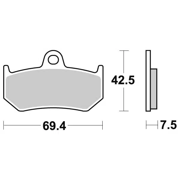 Sbs Jarrupalat Sintered Taakse